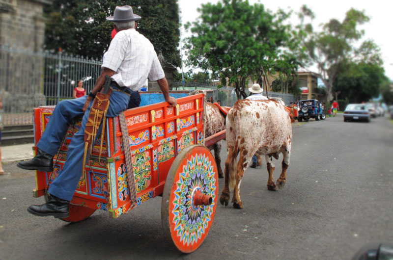 small-carreta-con-bueyes